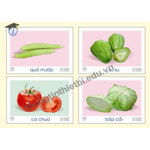 Tranh các loại hoa, quả, củ